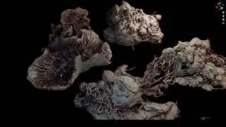 3D-Coat Fleshy Blobs- Sculpted and Textured- for concept art project