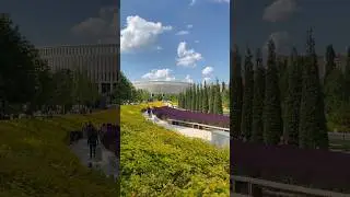 24 июня 2024 г.