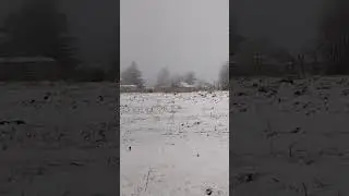 -27° 5 Ноября 2023 год.