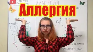 Аллергия. Что такое аллергия? Механизм проявления аллергической реакции.