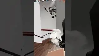 HE FLEW! - Blackhawk Rescue Mission 5