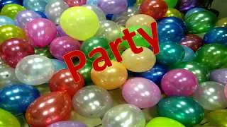 What are the questions related to party|Party type answers
