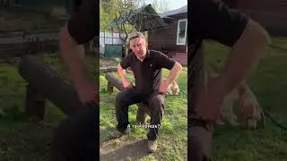 Про экономию