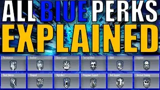 The COMPLETE And UPDATED Guide For Every Blue Perk In 6 MINUTES
