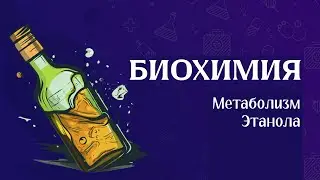 Биохимия | Метаболизм этанола