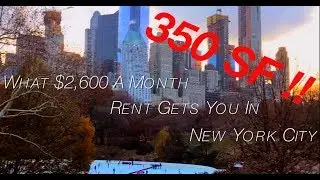 350SF For $2,600 a Month in New York City