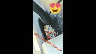 ASMR Detailing Compilation 1 [Delightful Noise To The Ears]