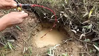 MANCING IKAN LEMBAT MONSTER KELAPARAN DI LUBANG TUA...