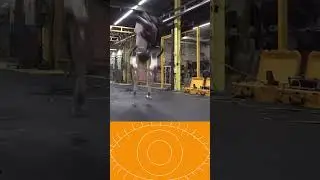 🤖 Будущее робототехники 🦾 #bostondynamics #atlas #роботы #tss