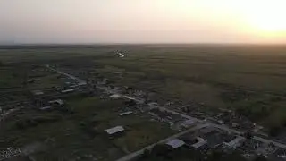 Львовские 1. 2021 год.