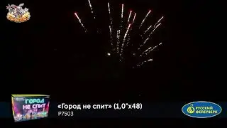 Фейерверк Р7503 Город не спит (1