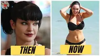 NCIS Cast 2003 vs 2026: Where Are They Now and How They Look Today | Then and now 2026
