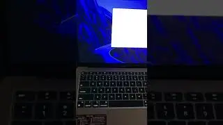 *FIXED* Wacom One, No Display Signal, Mac OS
