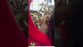 Shenseea ￼ Jamaica  carnival ￼ 2024 highlights #dancehall #shenseea