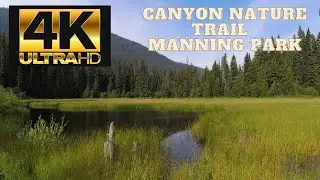 Canyon Similkameen Trail Manning Park B.C