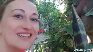 Утреннее воровство  Прошлая жизнь в Турции  Vlog 15