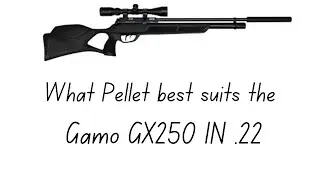 What Pellet best suits the gamo GX250 ,22