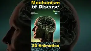 Deciphering the Mechanisms of Disease: Understanding the Underlying Pathways