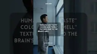 Human interest 