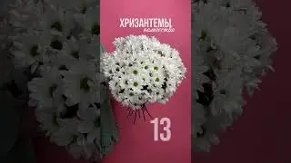 Количество хризантем в букете.