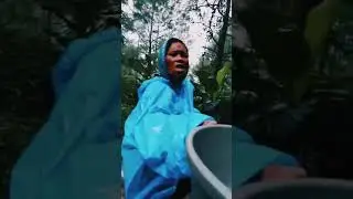 a kasian a 