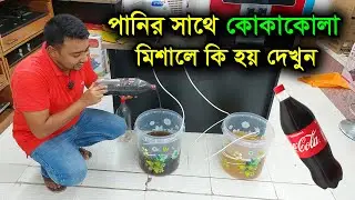 পানির সাথে কোকাকোলা মিশালে কি হয় দেখুন । water filter price in bangladesh. water filter experiment