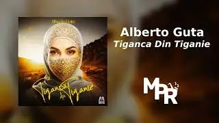Alberto Guta - Tiganca din Tiganie | 1 Ora