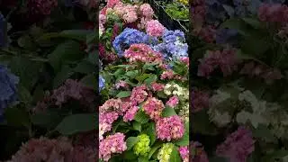 Агро-ОПТ Махачкала 8-988-698-88-08