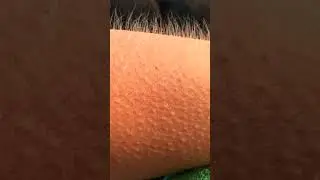 БИГБЕЙТ своими руками