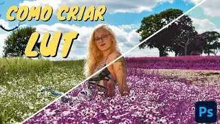 Como criar arquivo de LUT no Adobe Photoshop para Copiar os ajustes de uma foto.