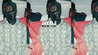 Pa Salieu x Chronixx Type Beat 2022 - 