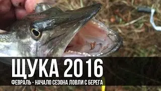 Рыбалка в Черкассах - щука с берега - Открытие сезона 2016