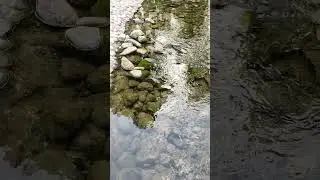 Источник Харьков  