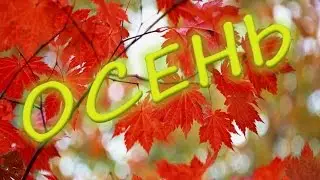 Осень. Осень - она не спросит...
