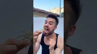 Örümcek Yedim 🕷️ Sonu Komik Funny Videos I ate a spider #shorts