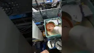 Как простой инструмент помогает мастерам ускорить ремонт техники Apple и избежать ошибок