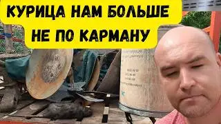 Когда кончились деньги на ремонт...