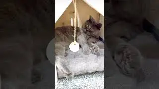 Всем трезвой пятницы 😂😂😂