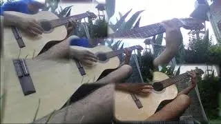 Legend of Zelda (NES) Intro Guitar Cover