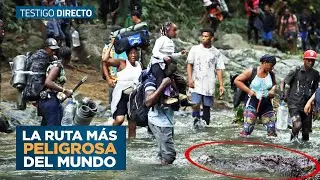 Selva del Darién 2023: Cruzando La Ruta Migratoria Más Peligrosa De Migrantes - Testigo Directo