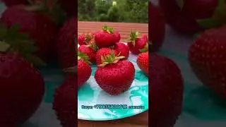 Элиане