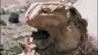 De Beerput #30: Godmonster of Indian Flats (1973)