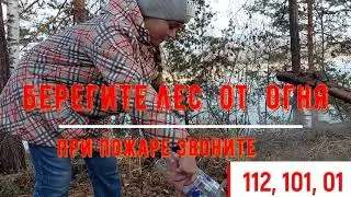 МБОУ СОШ №41 МО города Братска Конкурс короткометражных роликов