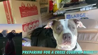 MY LAST WEEK LIVING IN CHICAGO!!! (vlog)