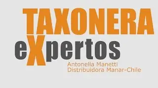 Taxonera por Expertos: Antonella Manetti-Distribuidora Manar, Chile.