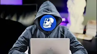 Ape Coin 1 Million Dollar Scam