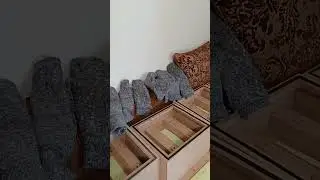 Диффузор и резонатор