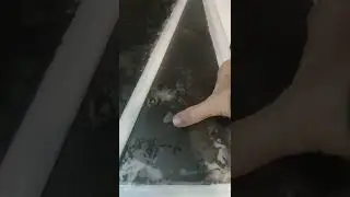 компания 3dvl Liquid Floor Russia уже 17 лет производит живую плитку
