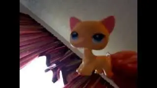 Don't bully lps  poplar don't bully video (for shopiegtv)