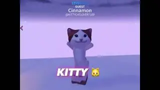 Kitty edit